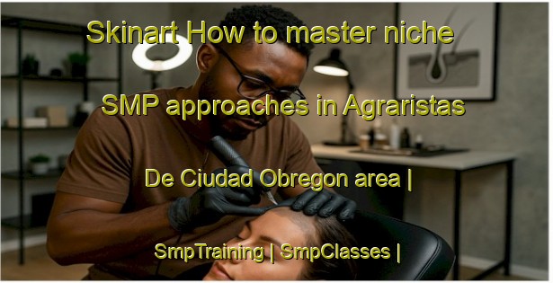 Skinart How to master niche SMP approaches in Agraristas De Ciudad Obregon area | SmpTraining | SmpClasses | SkinartTraining-Mexico